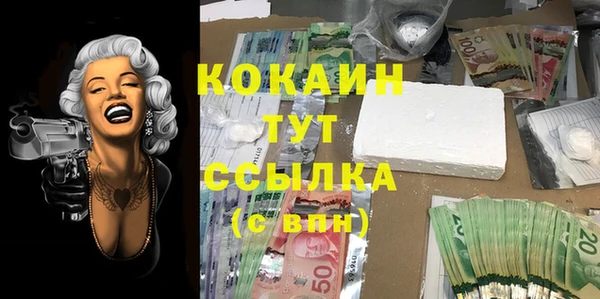 соль ск Кодинск